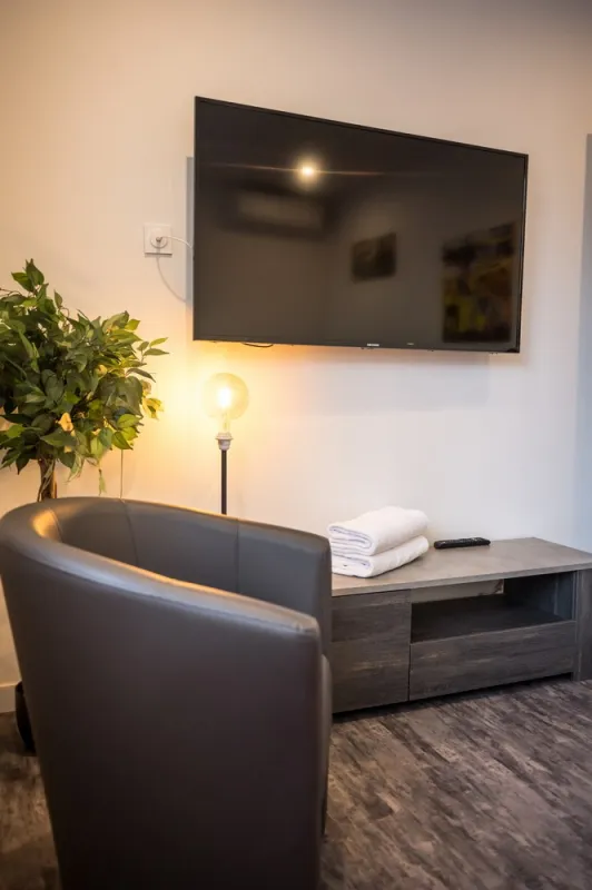 Suite, Albi, Hôtel Rive Droite Albi